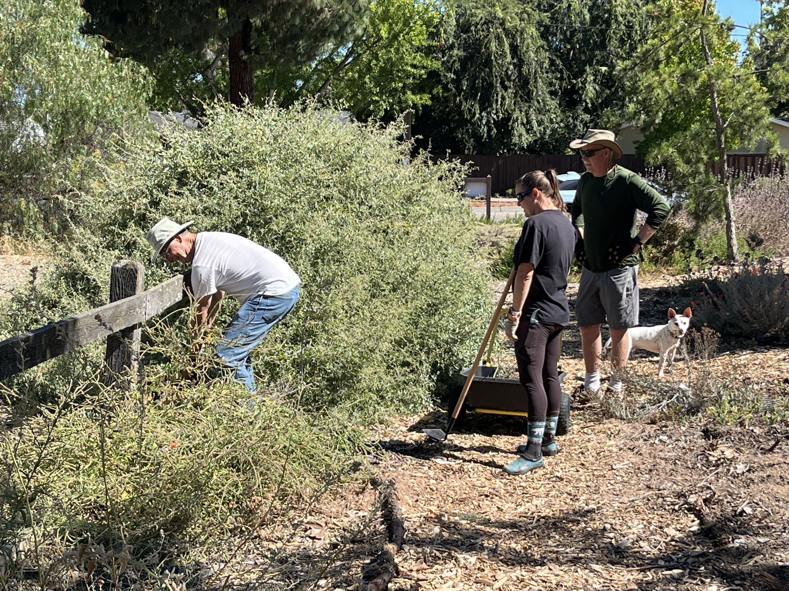 Doug Weeding Verbane Silia Gordon Supervise