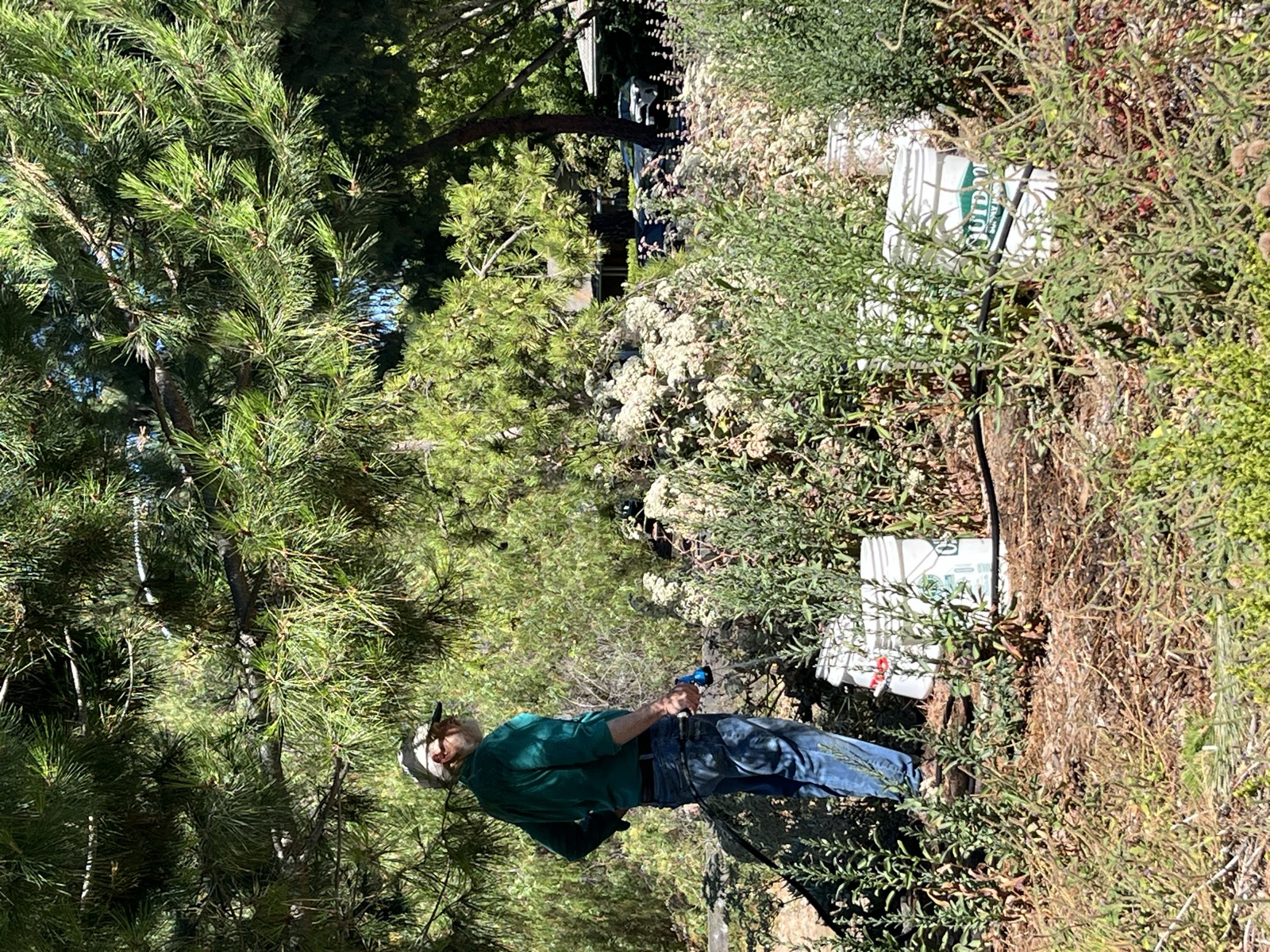 Howard Watering July Light