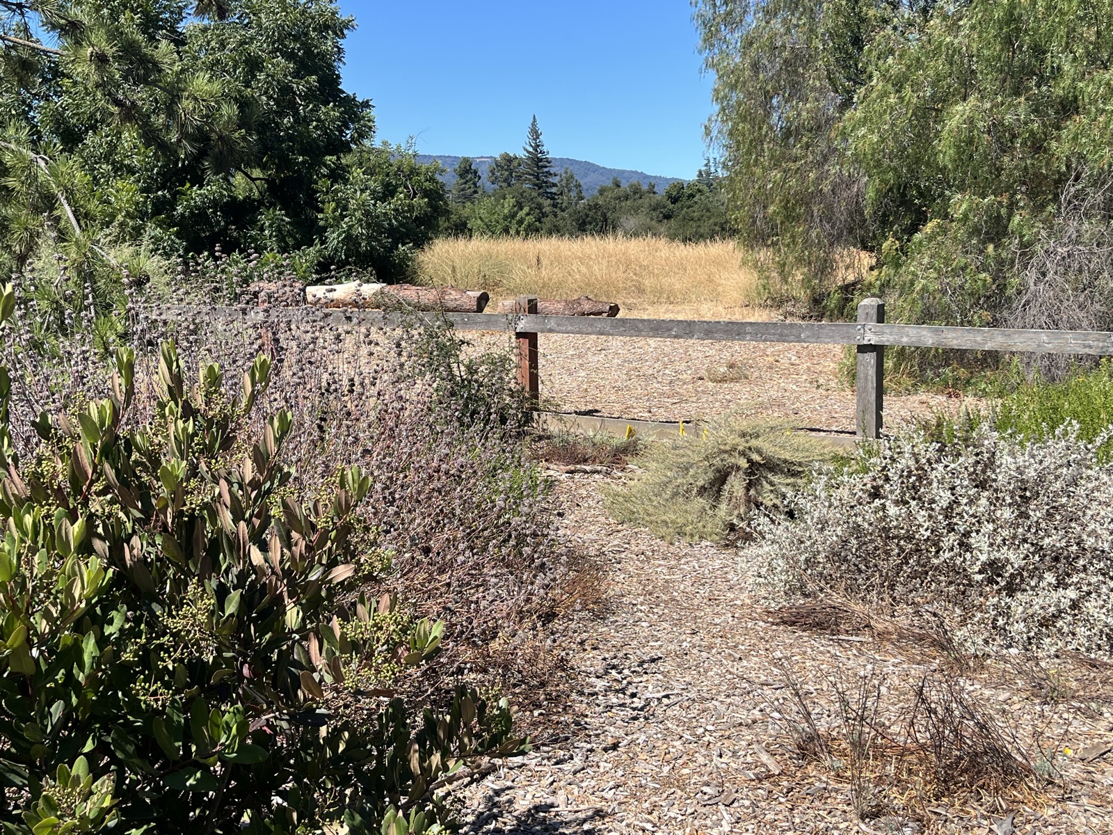 View Past Garden