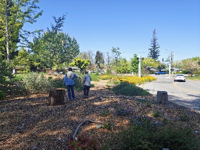 Gallery photo